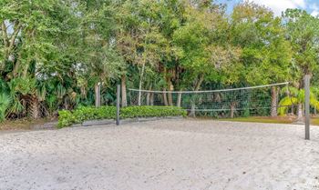 Volleyball court
